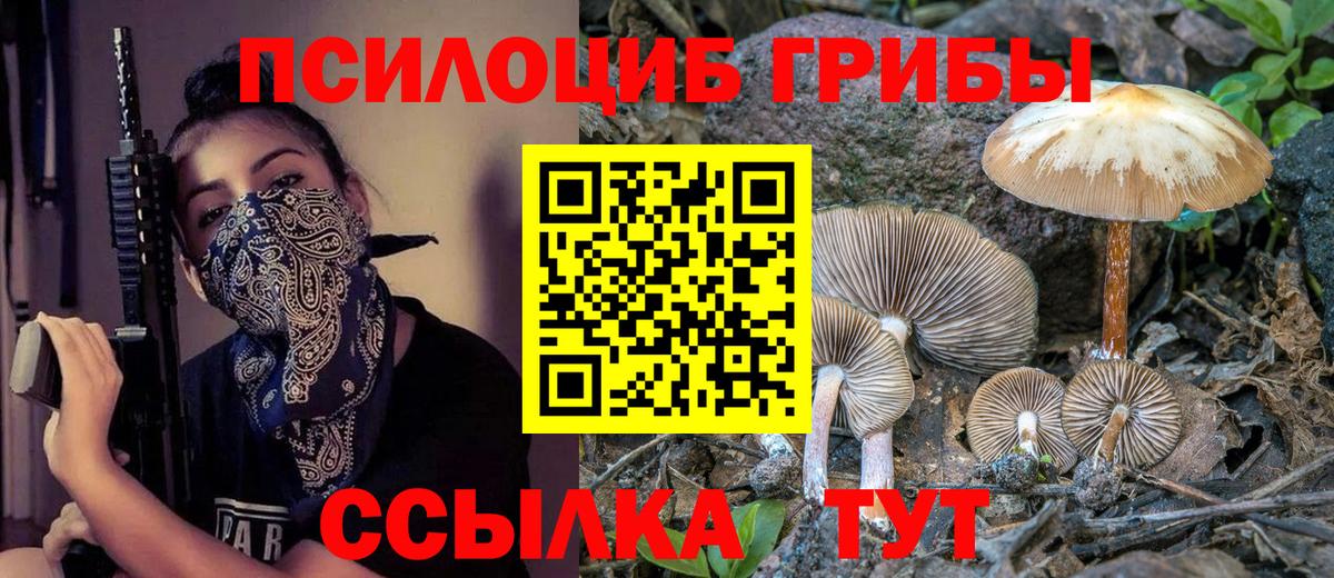 Галлюциногенные грибы GOLDEN TEACHER  Псилоцибиновые грибы мицелий  Карталы  Вход с VPN 