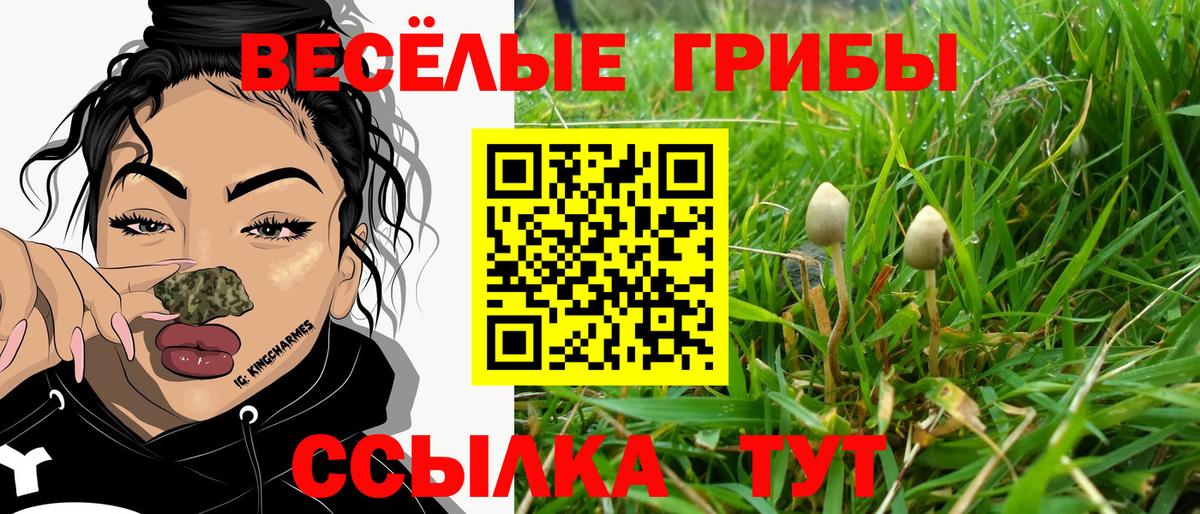 Галлюциногенные грибы Magic Shrooms Карталы